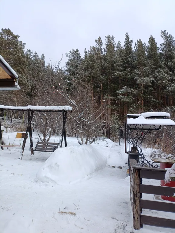 Домик на опушке леса