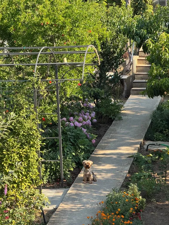 Квартира Квартира (Якорь) — Севастополь