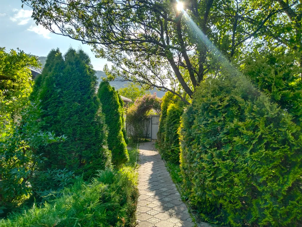 Коттедж Дом в центре Хвойный дворик — аренда посуточно в Каменномостский