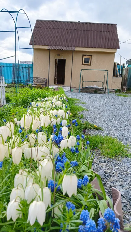 Уютный домик с русской баней и чаном