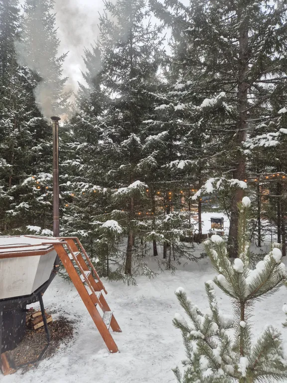 Уютный домик с видом на лес с баней и купелью