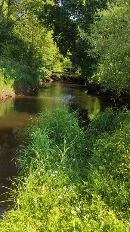 Просторный дом, для большой семьи и не только