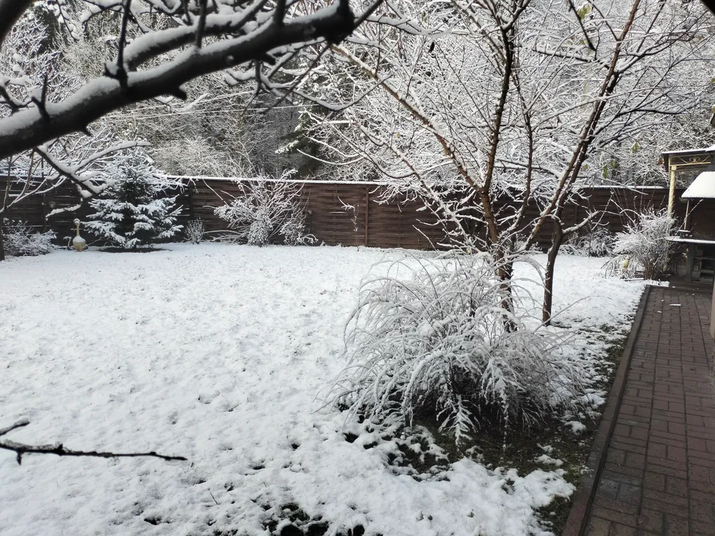 Уютный коттедж с дровяным камином, в окружении лесного массива