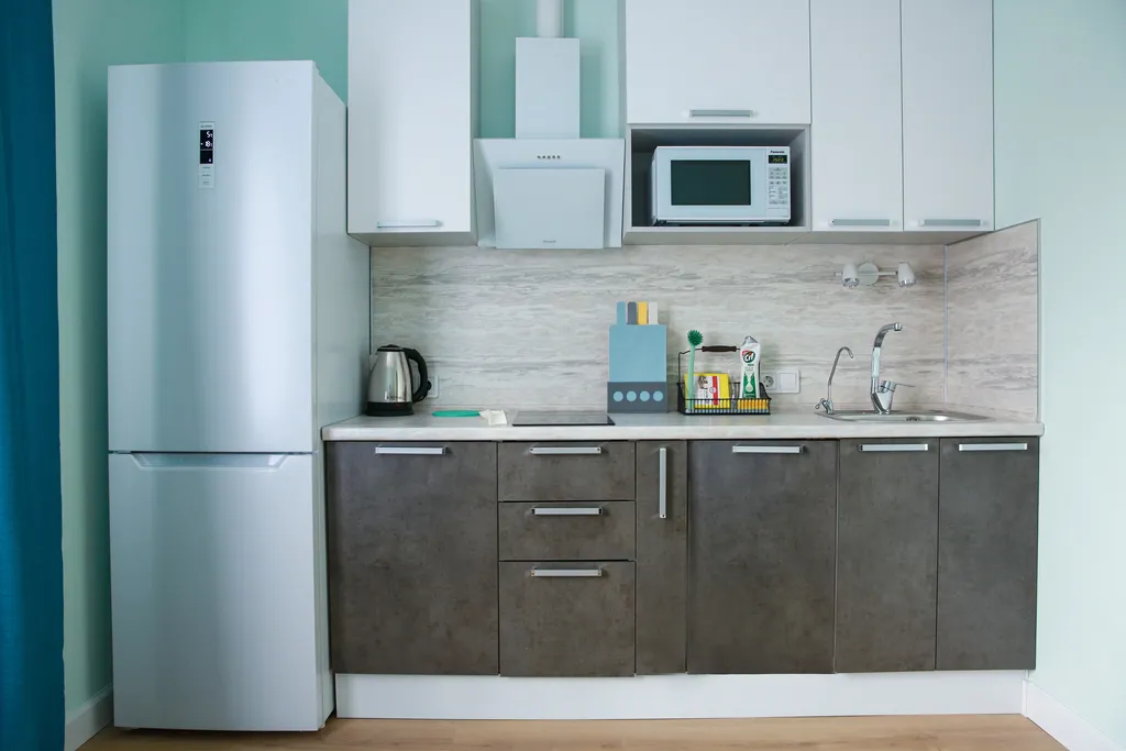 Квартира Квартира около НМИЦ онкологии им. Н.Н. Петрова — Песочный