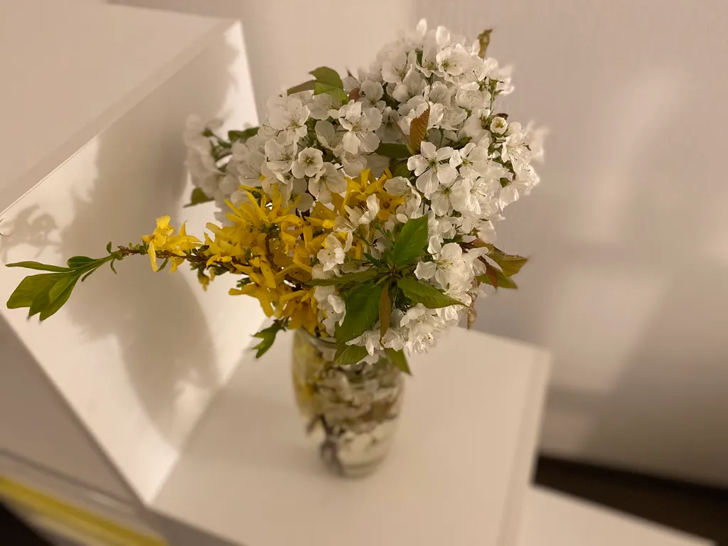 Квартира Квартира Морской курорт — Светлогорск