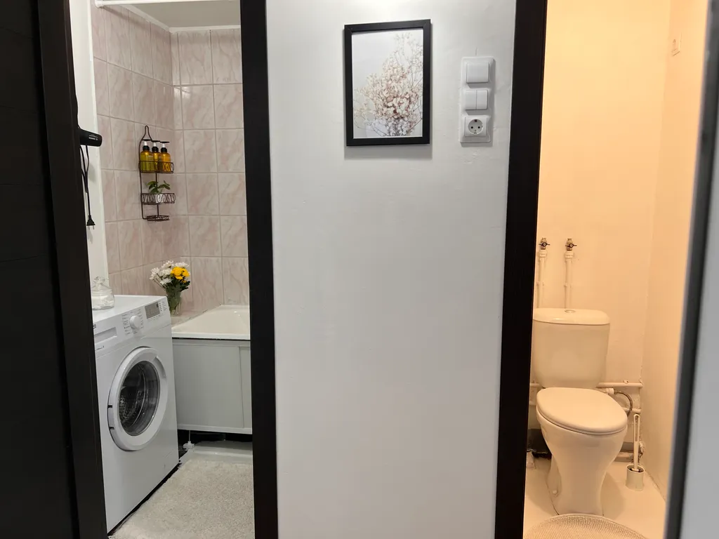 Квартира у Семеновского озера