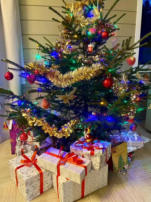 Келлио Хаус (Kelliö-House)