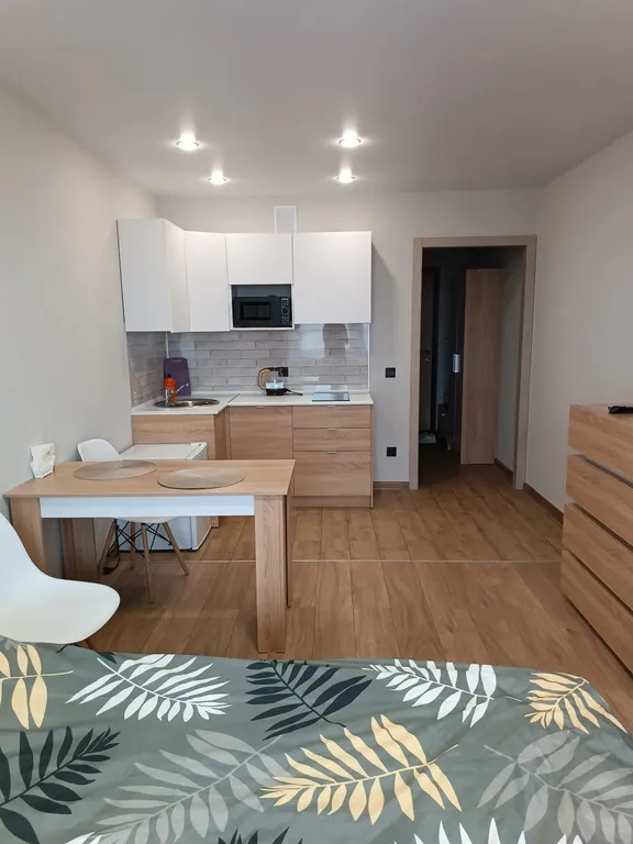 Квартира Уютная, чистая студия с красивым видом из окна — аренда посуточно в Киров