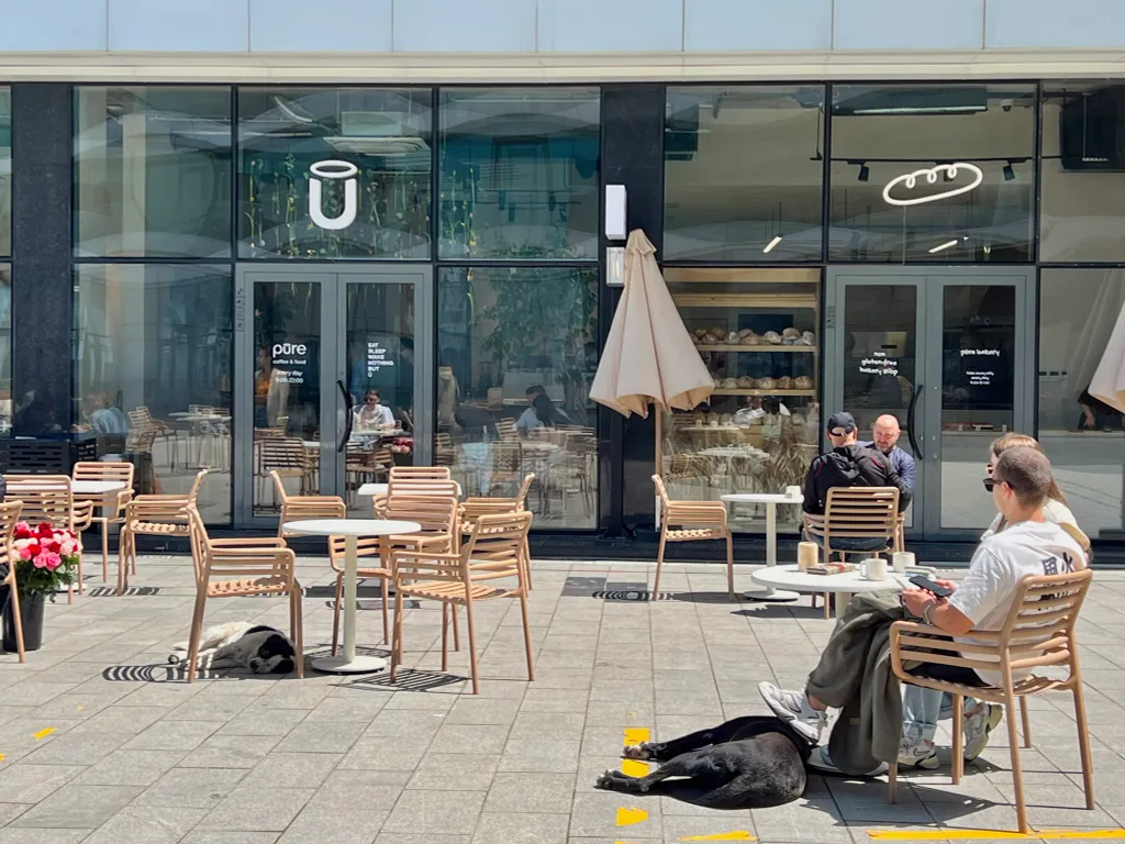 Семейная студия на берегу моря, Batumi View