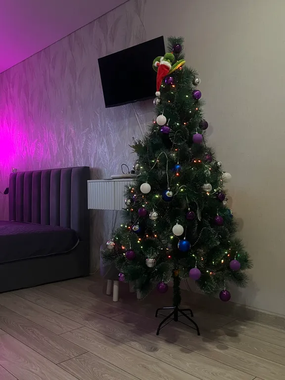 Уютная студия в новом доме