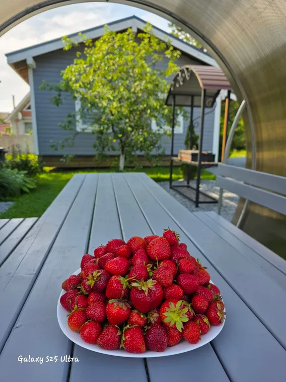 Гостевой двухкомнатный дом South lane.