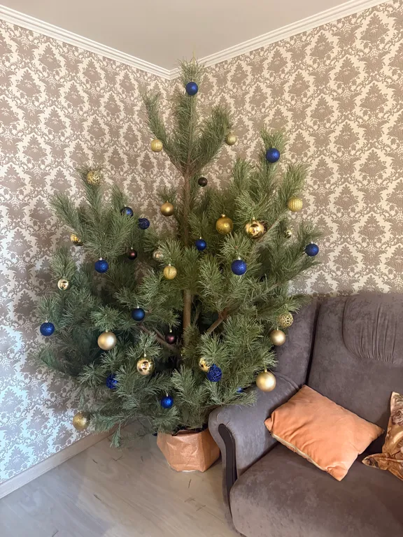 Комфортабельная евродвушка в тихом центре Курска-парк Бородино