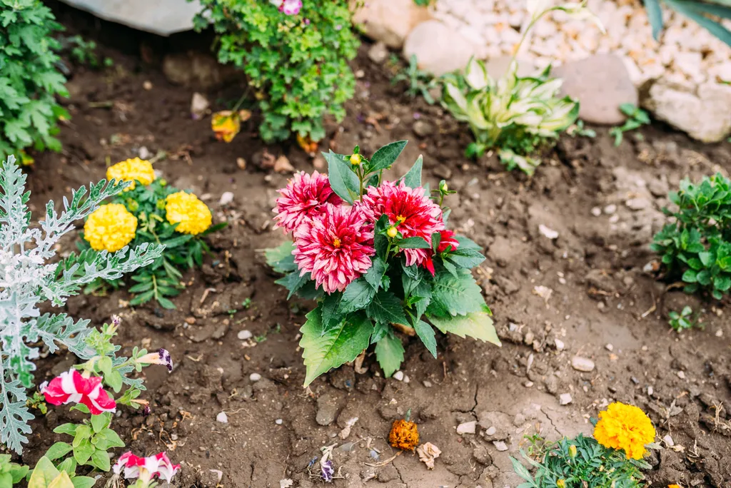 Просторный дом для большой компании из 8 человек