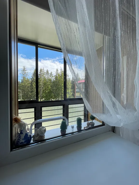 Двухкомнатная квартира на Парковой