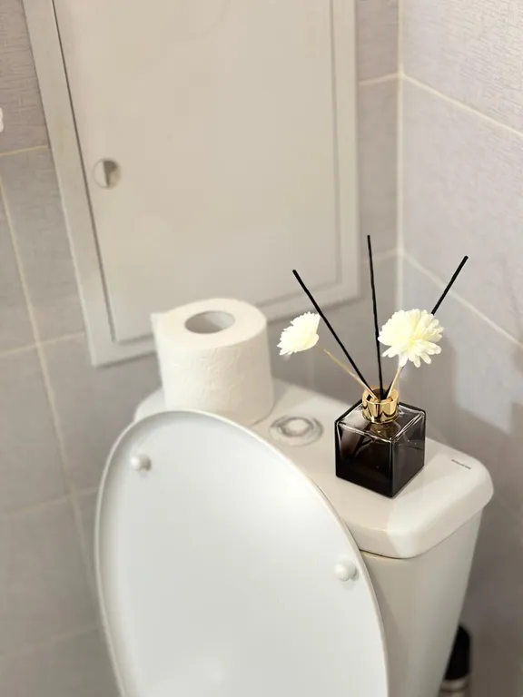 Роскошная и красивая однокомнат квартира в центре города