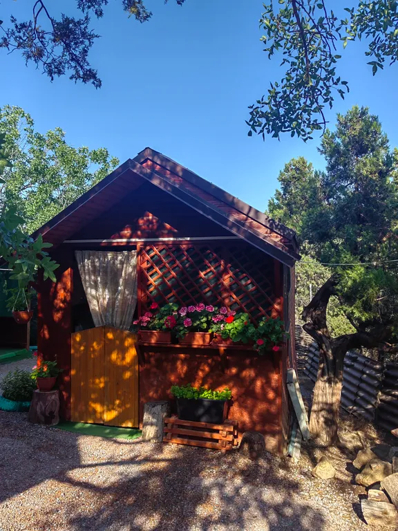 Домик в можжевеловой роще