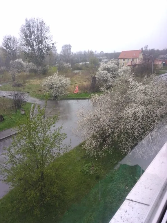 Квартира Квартира Kross Stein Форт У Преголя+ — Калининград