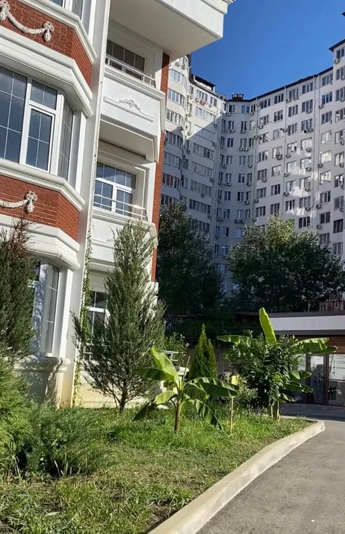 Квартира у моря рядом с Дельфинарием