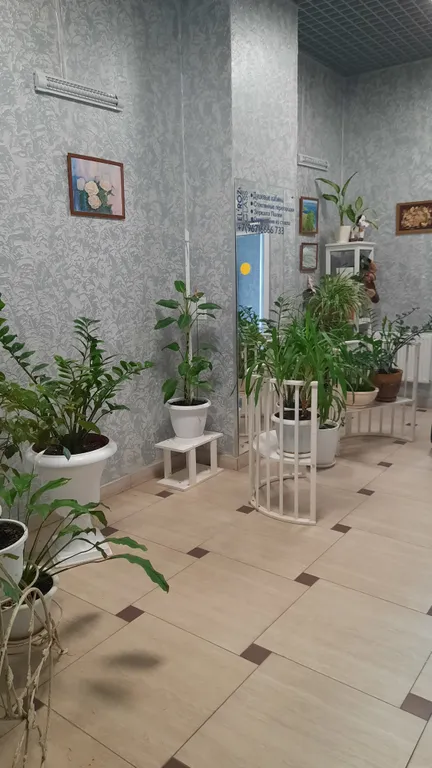 Квартира Квартира Большая уютная студия на первой береговой линии — Анапа