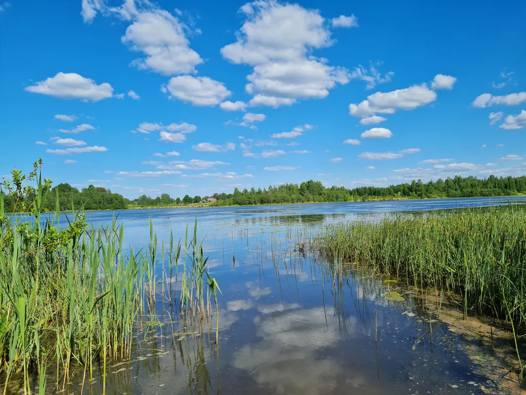 Дом у озера Мстижа