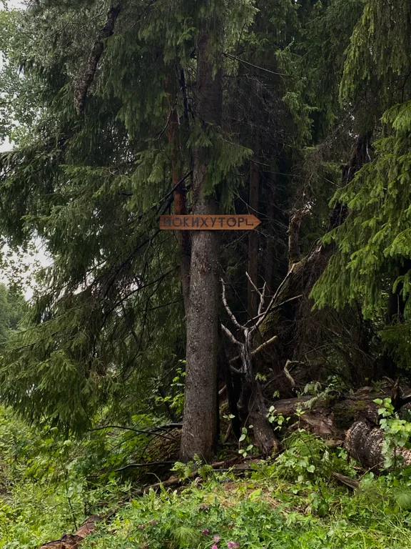 Гостевой дом в Карелии-Йокихутор