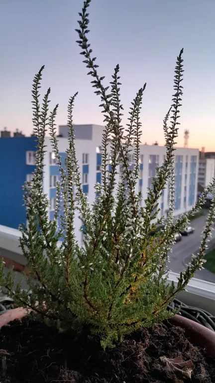 Карелия Сортавала 2 комнатная квартира, wi-fi, парковка, рядом кафе, озеро