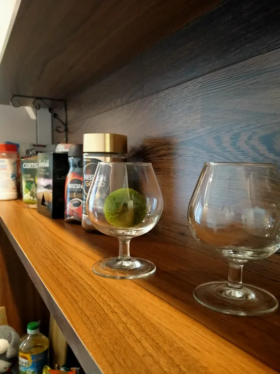 Уютная квартира рядом с парком и морем