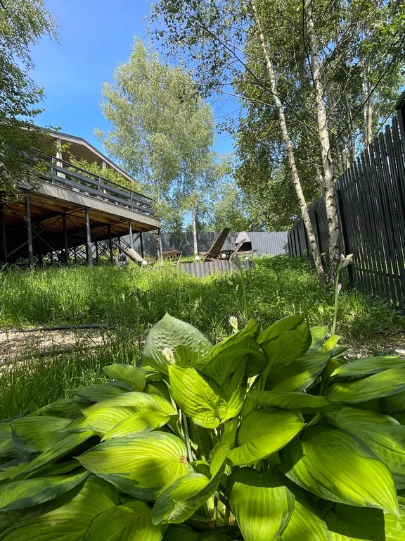 Дом в облаках у леса