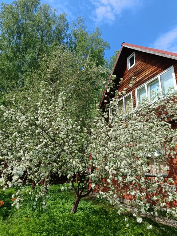 Квартира Комната — аренда посуточно в Васкелово