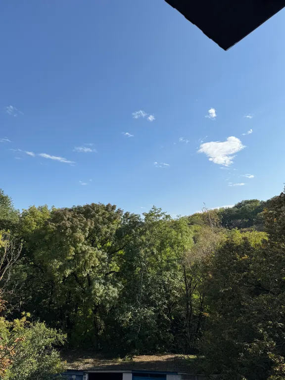 Отдых, который лечит