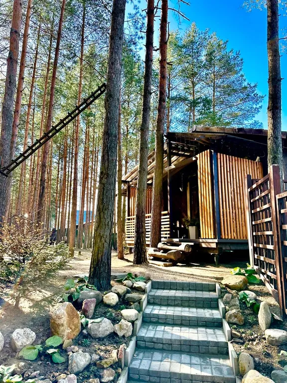 Шале в гости к мишкам с сосновом бору