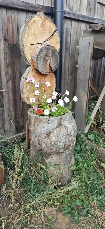 Комната с диваном