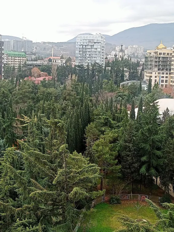 Студия у моря