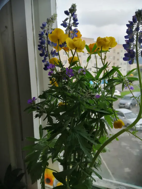 Семейная комната в спальном районе города