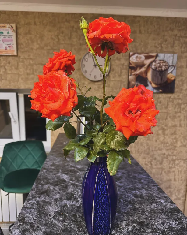 Атмосферный дом