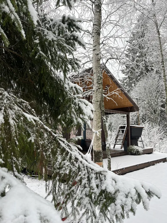 Дом у скалы