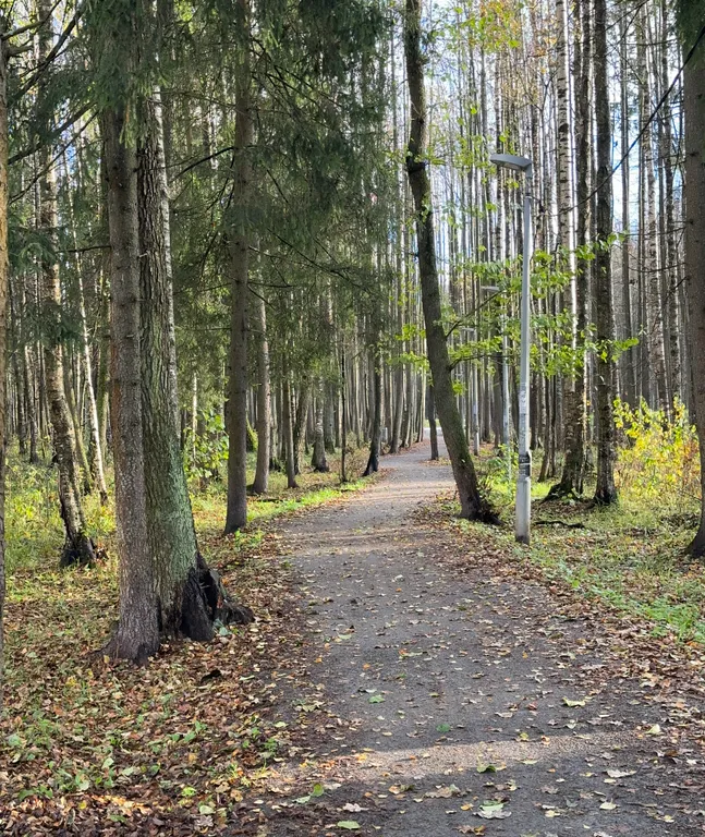 Домик для семейного отдыха