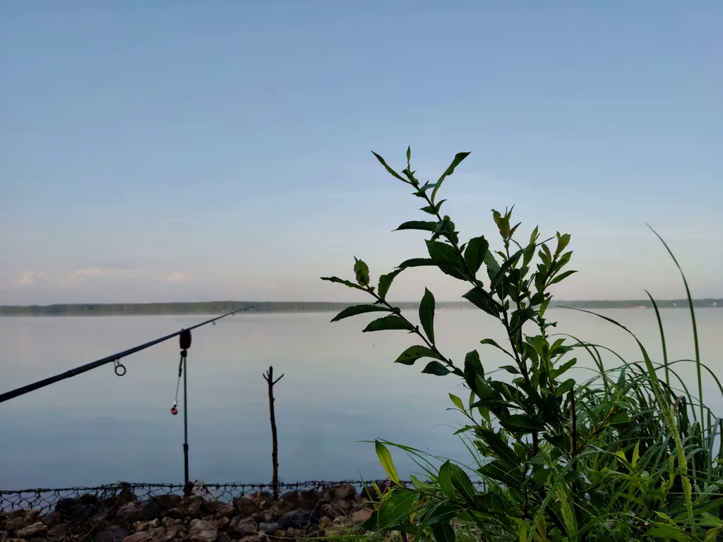 Коттедж Уютный домик на озере Волго на Селигере в сосновом бору — Турбаза Чайка
