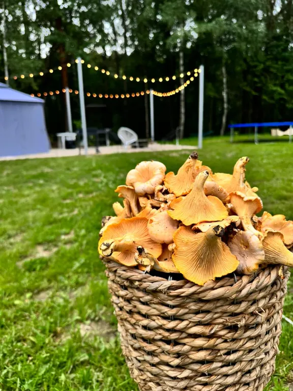 Дом с сауной  в Капитан Клаб