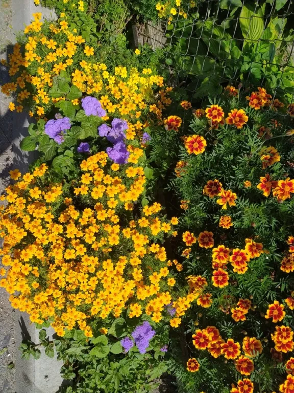 Квартира-студия с отдельным входом с парковкой