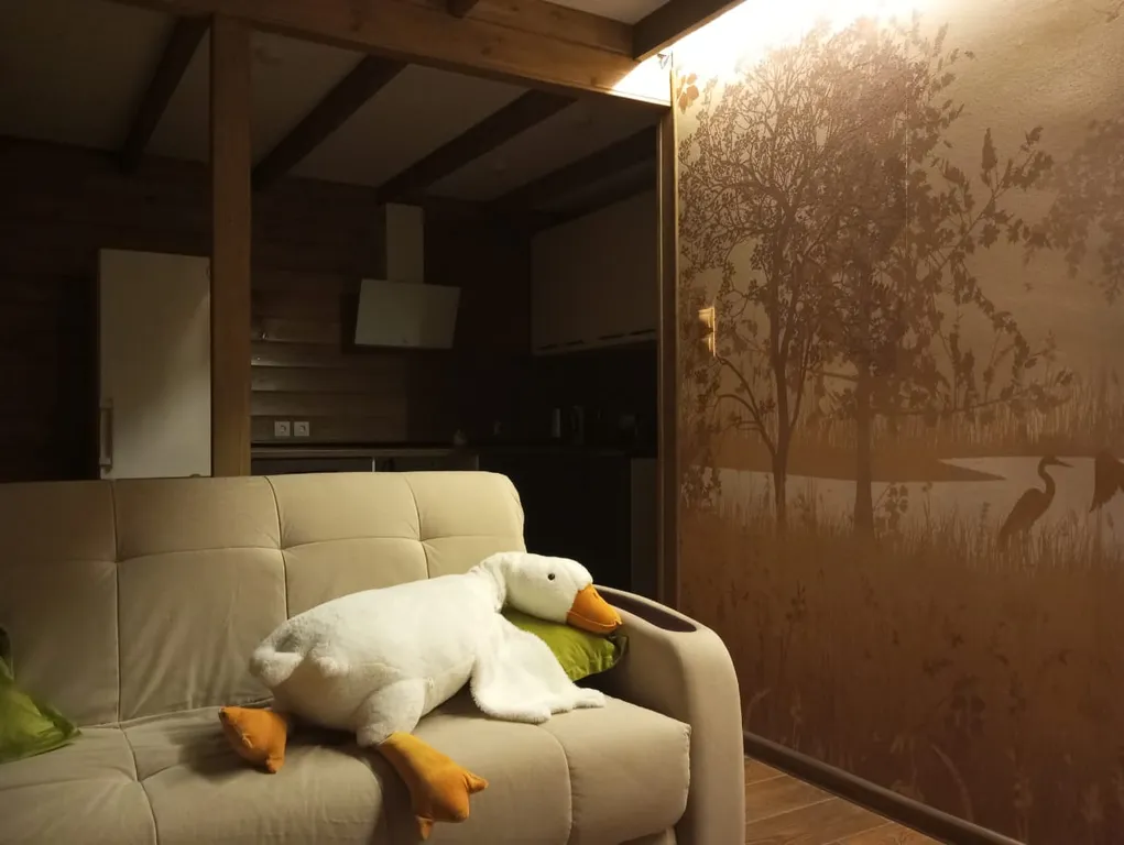 Апартамент рядом с аэропортом