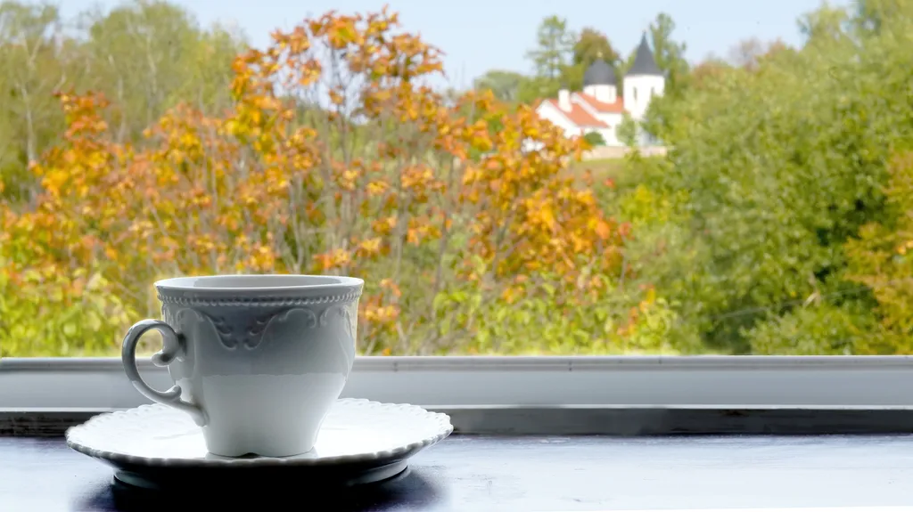 Усадьба Бёхово на Оке в Поленово