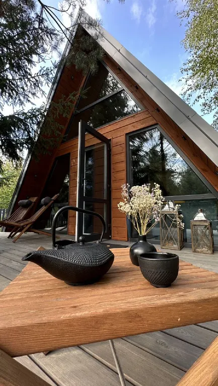 Треугольный дом в 25км от Минска с баней и горячей купелью в лесу