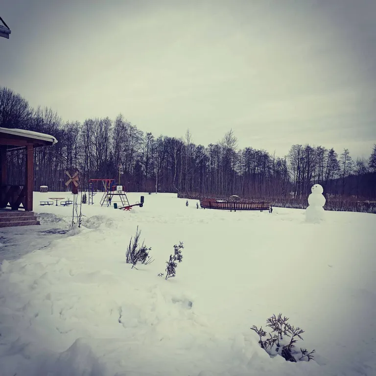 Усадьба с баней и бассейном Фальварак Бульбаша под Минском