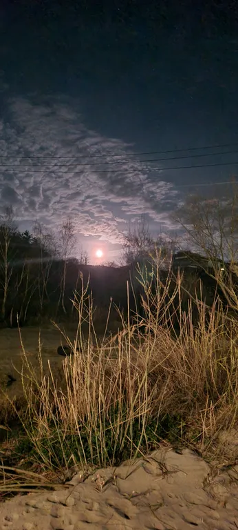 Элитная квартира с видом на море