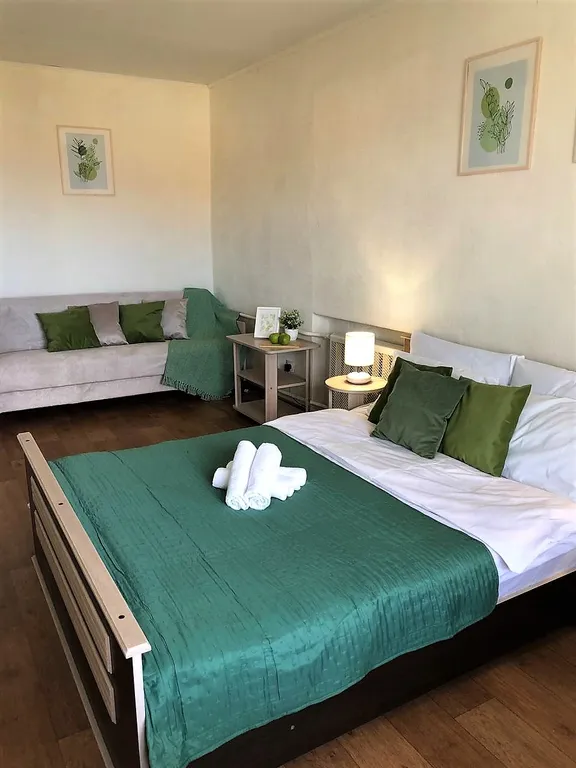 Квартира в центре Пскова — аренда посуточно в Псков