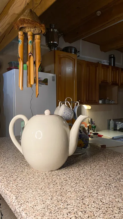 С видом на лес, душ и туалет рядом