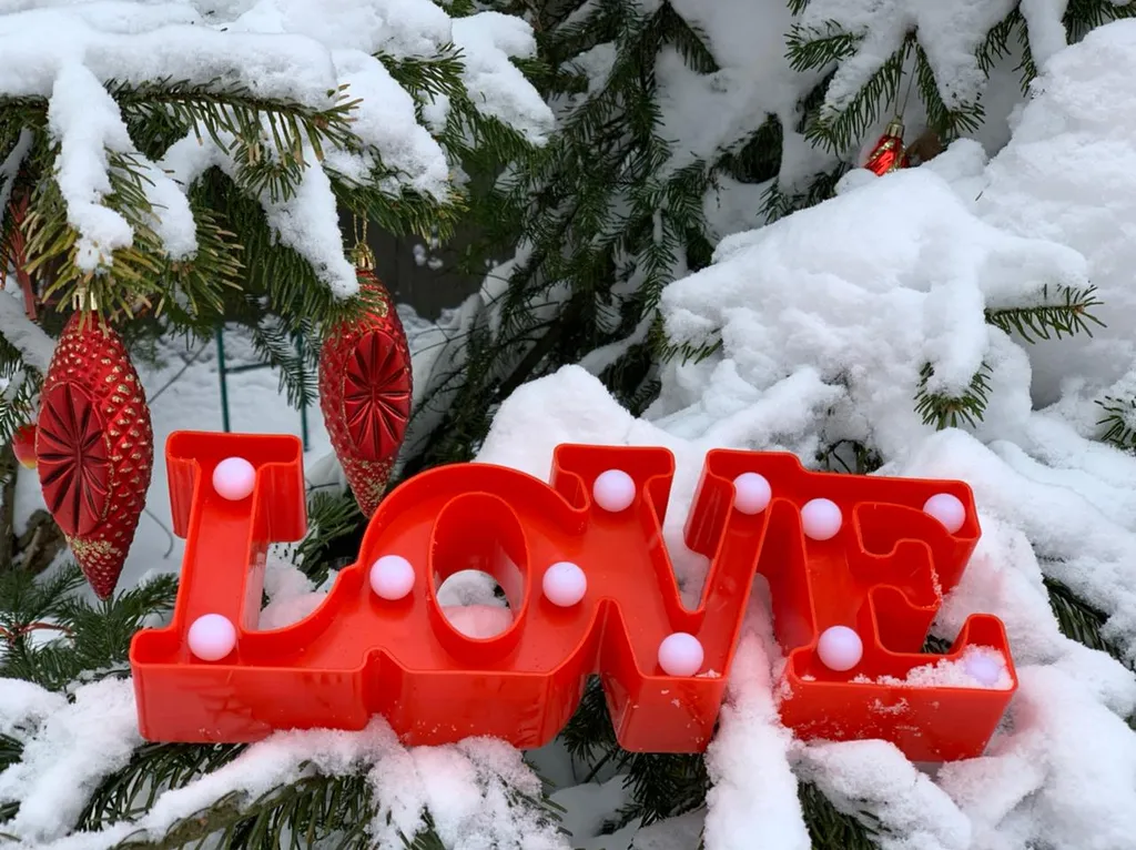 Аленький цветочек