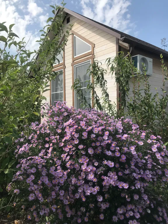 Коттедж Экодом "Бирюза" с камином — аренда посуточно в Мостовской