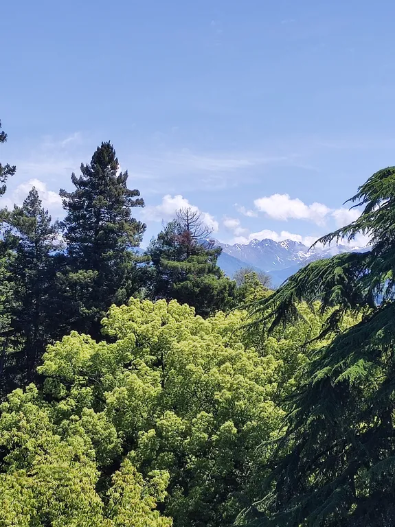 Квартира Квартира Студия в Парке № 3 — Сириус